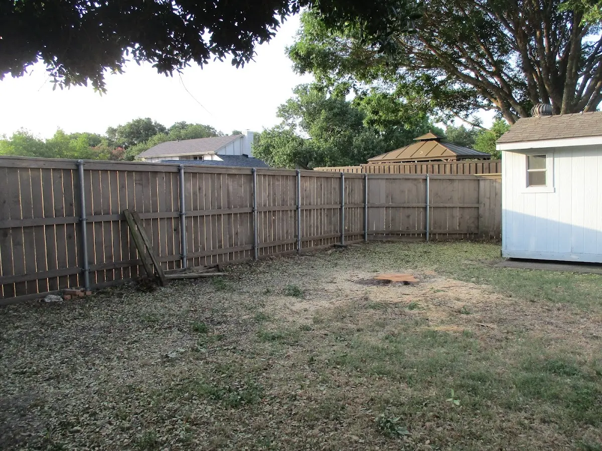 Cleared yard after professional tree removal in Rumney