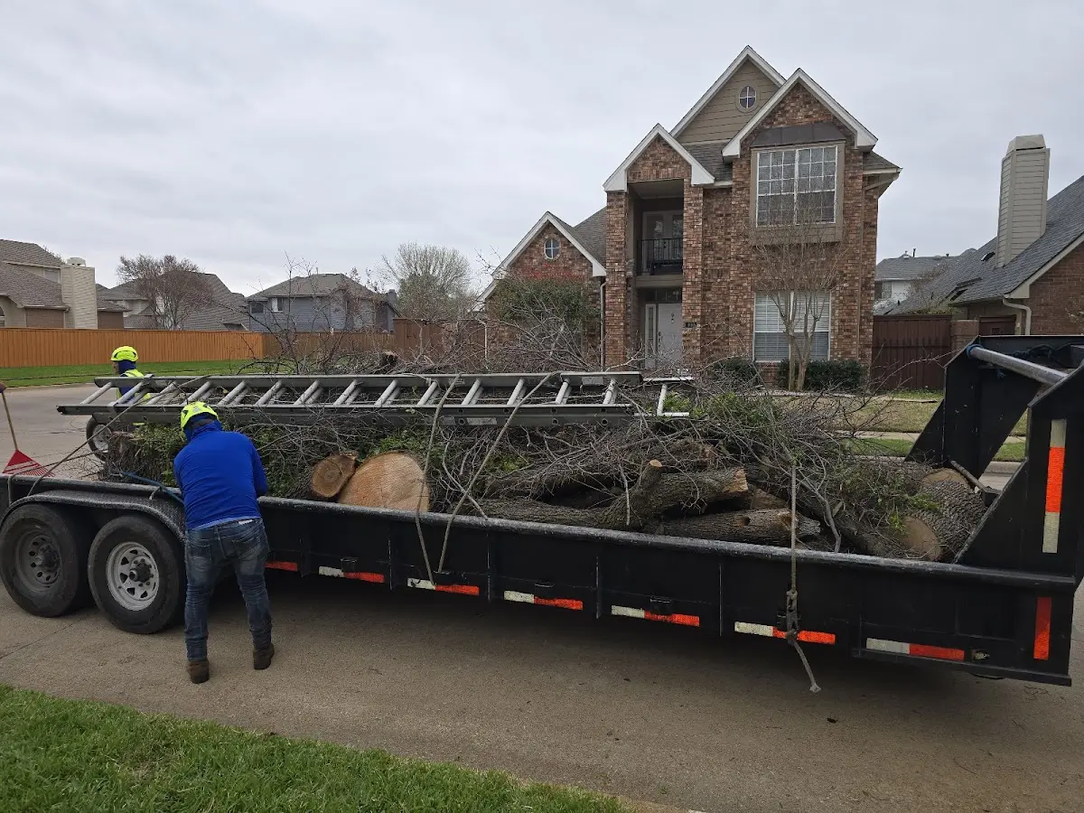 Expert Tree Fertilization with proper safety equipment in Rumney